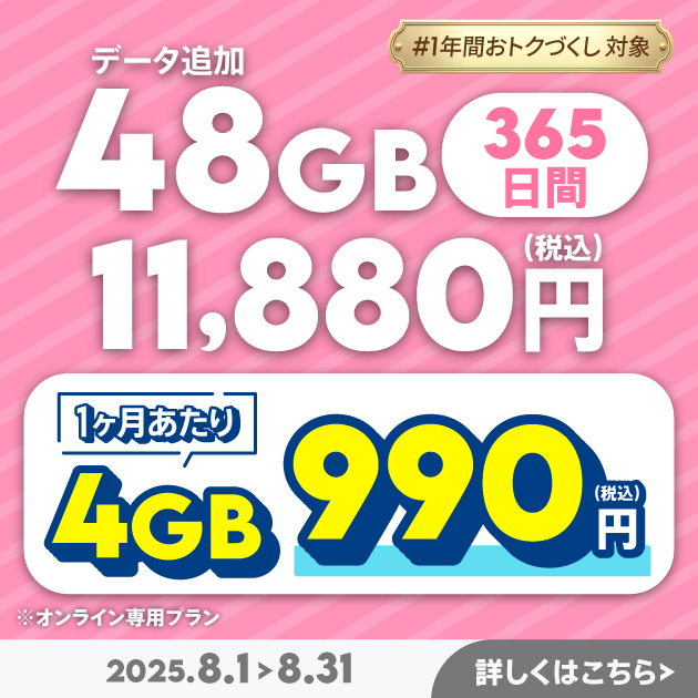 【期間限定】データ追加48GB(365日間)