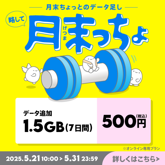 一覧画像