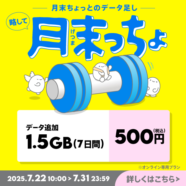 一覧画像