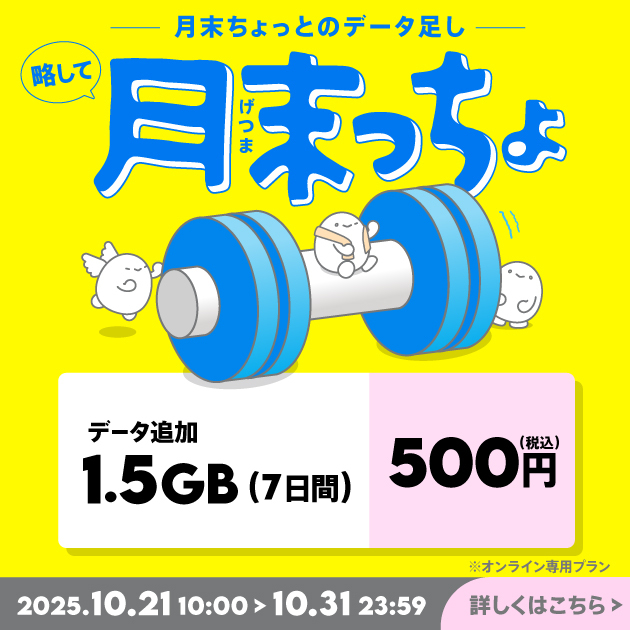 一覧画像