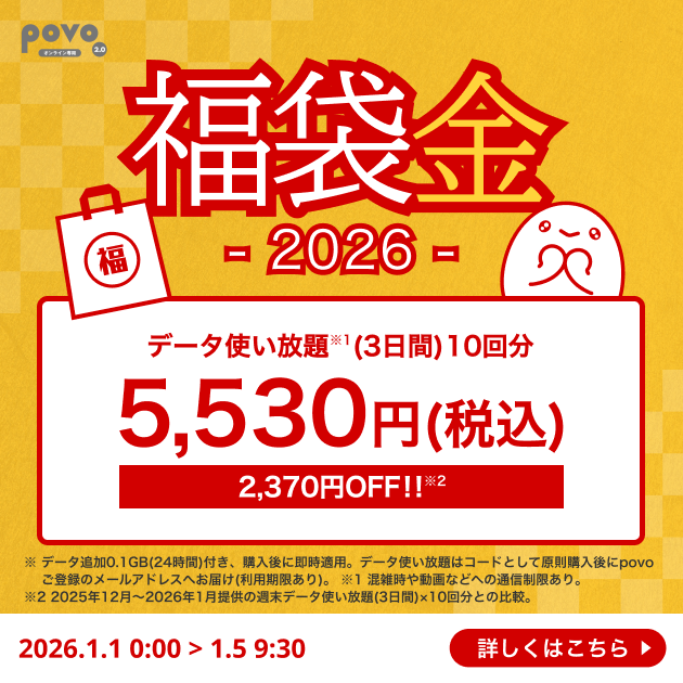 【福袋 金】データ使い放題(3日間)10回分