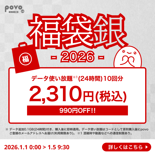 【福袋 銀】データ使い放題(24時間)10回分