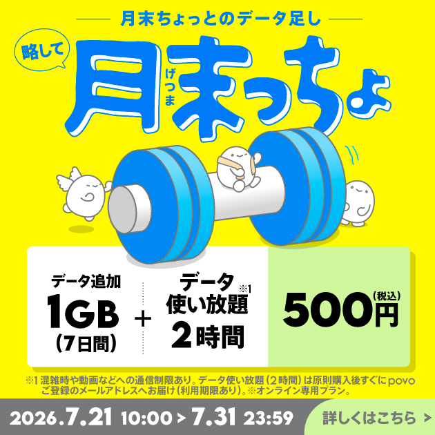 【月末っちょ】データ追加1GB(7日間)+データ使い放題(2時間)