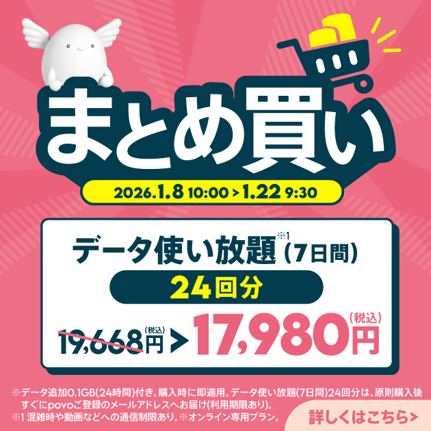 データ使い放題(7日間)24回分