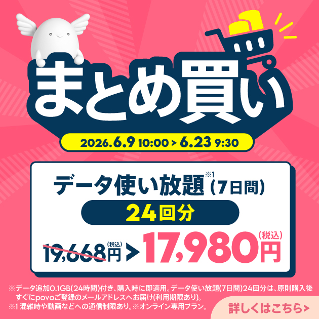 データ使い放題(7日間)24回分
