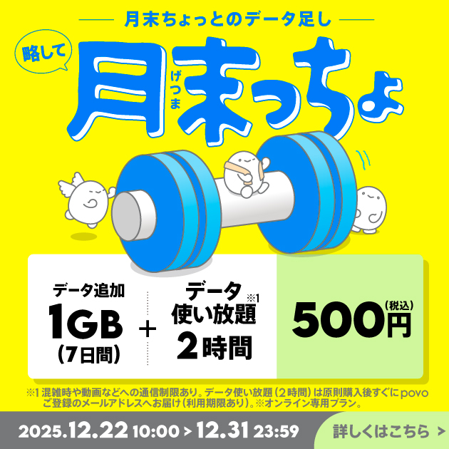 【月末っちょ】データ追加1GB(7日間)+データ使い放題(2時間)