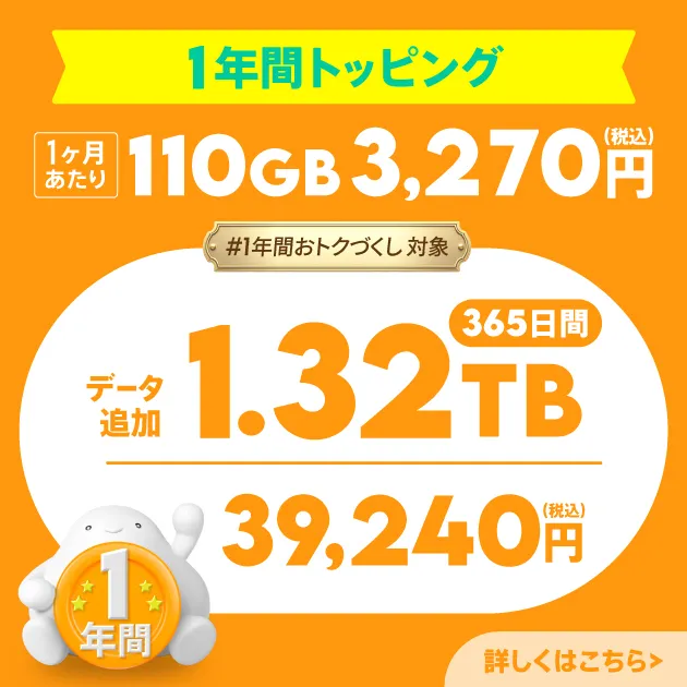 データ追加1.32TB(365日間)