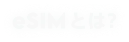 section 03